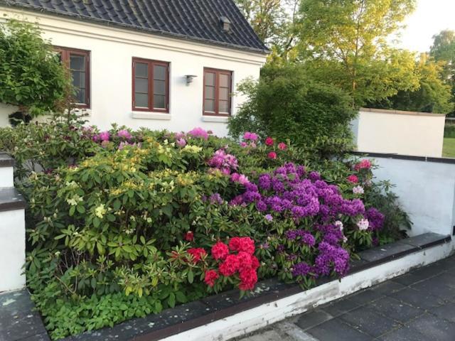 Dreamcenter Ballerup Boulevard Εξωτερικό φωτογραφία